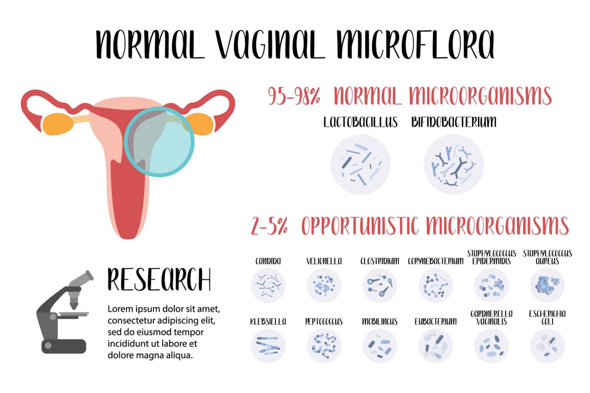 Test microbioma vaginale